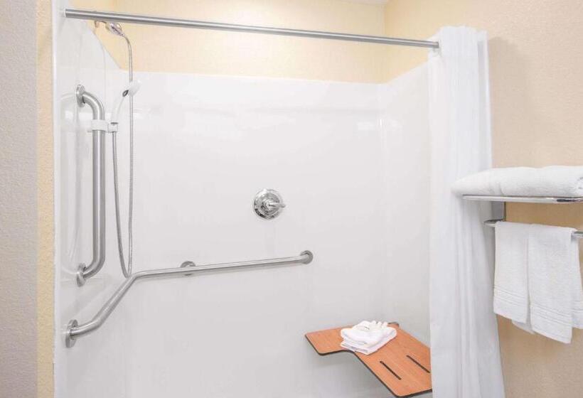 장애인을 위한 스탠다드 룸, Microtel Inn & Suites By Wyndham Albertville