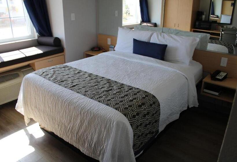 适合残疾人使用的标准间, Microtel Inn & Suites By Wyndham Albertville