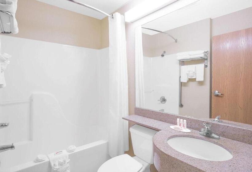 标准间, Microtel Inn & Suites By Wyndham Albertville