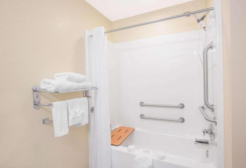 标准间, Microtel Inn & Suites By Wyndham Albertville