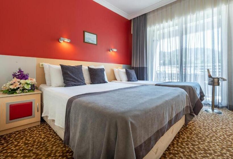 Номер Стандарт Вид на Бассейн, Grand Viking Hotel   All Inclusive
