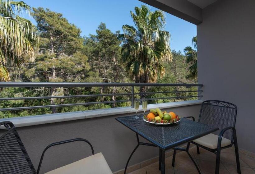 Classic room with balcony, Grand Viking Hotel   All Inclusive