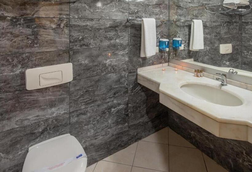 Номер Стандарт Индивидуальный с Балконом, Grand Viking Hotel   All Inclusive