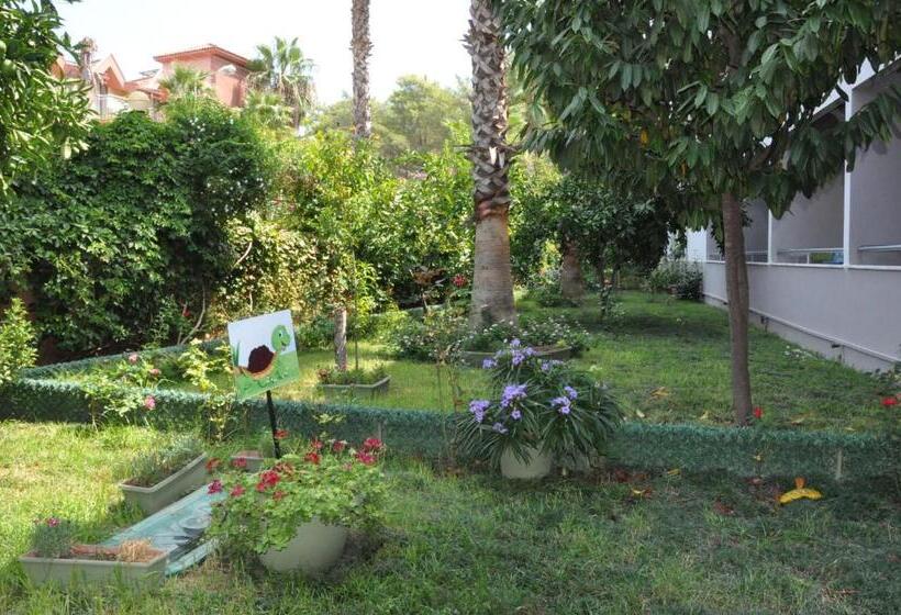 标准房带园景, Grand Viking Hotel   All Inclusive