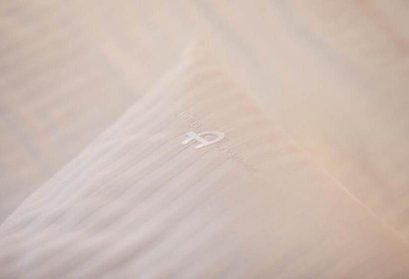 ビジネスルーム, Alexander