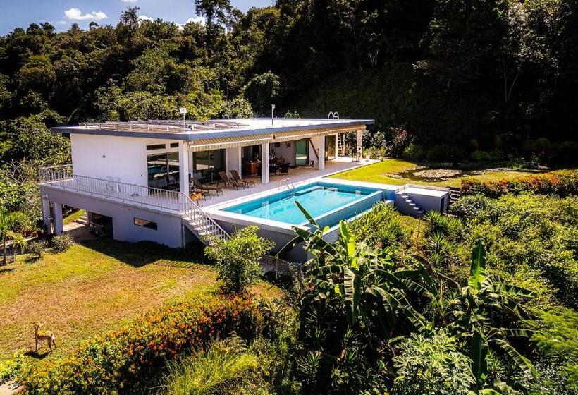 غرفة ديلوكس, Casa Laureles