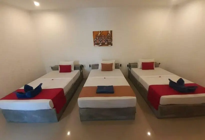 اتاق لوکس سه تخته, Dream