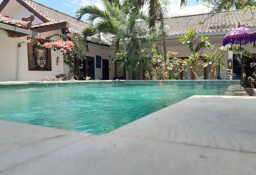 デラックスルーム, Dream