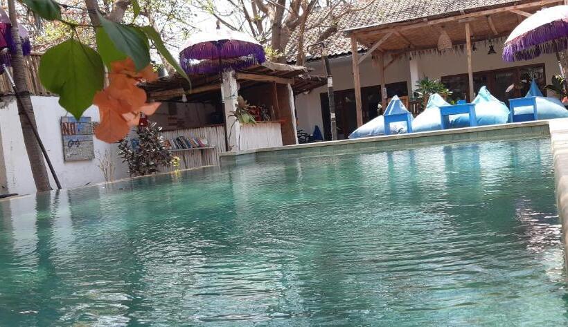 デラックストリプルルーム, Dream