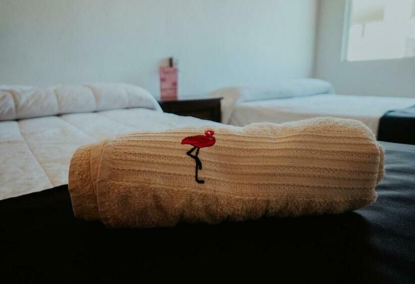 اتاق استاندارد, Bungalows Flamingos