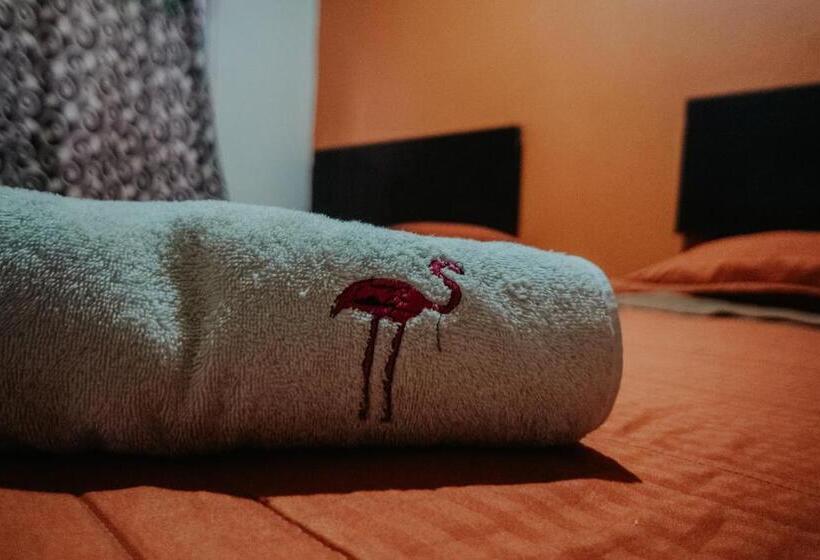 بنگله خانوادگی, Bungalows Flamingos