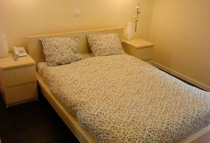 اتاق عادی, Hostal Goyal Pizarro