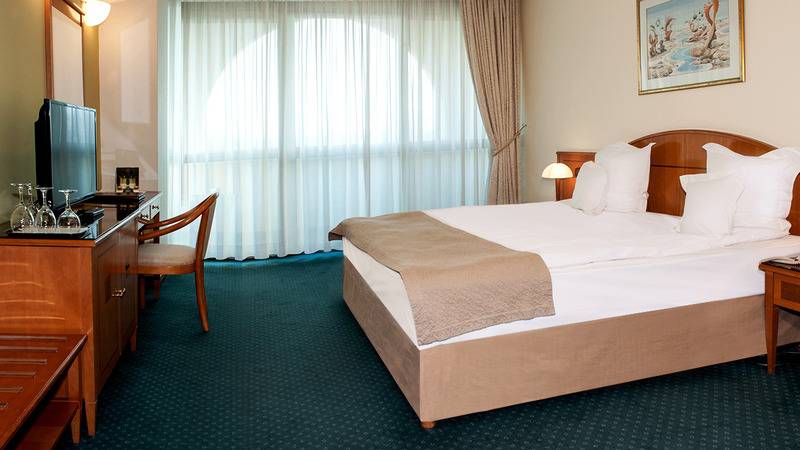 Standard Room, Aleksandar Palace Hotel Congress Center & Spa