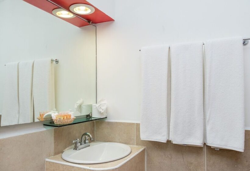 غرفة قياسية, Baez Carrizal