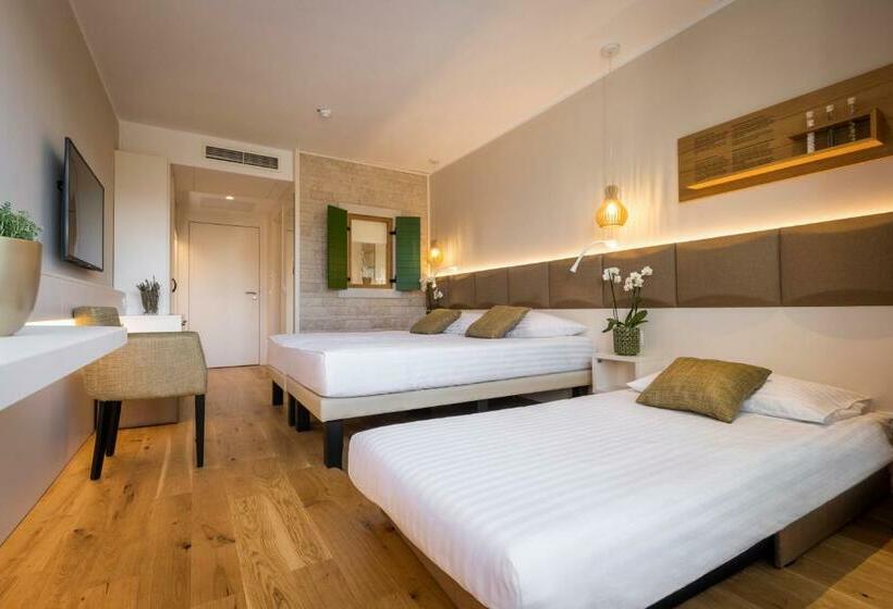 اتاق سوپریور با چشمانداز, Histrion