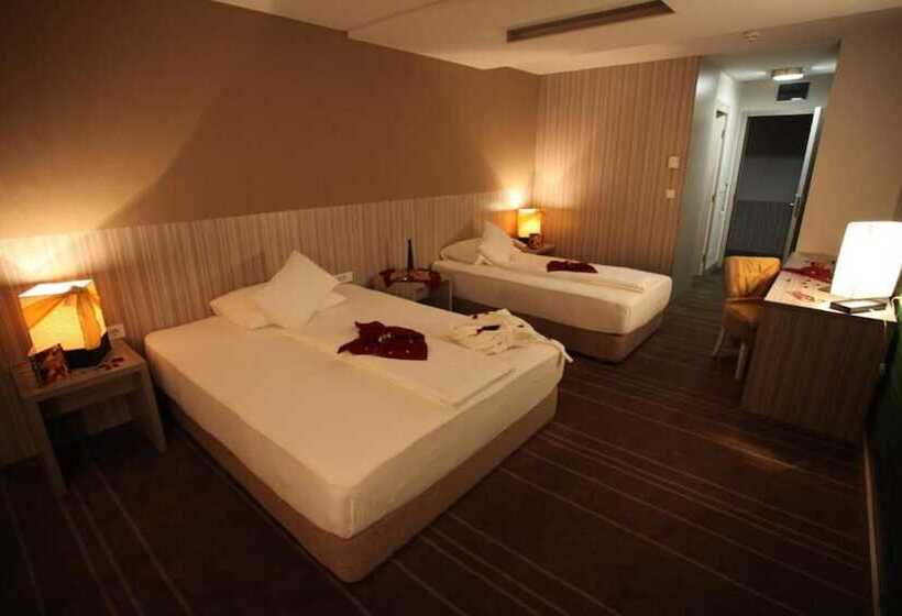 اتاق سوپریور سه تخته, Hollywood