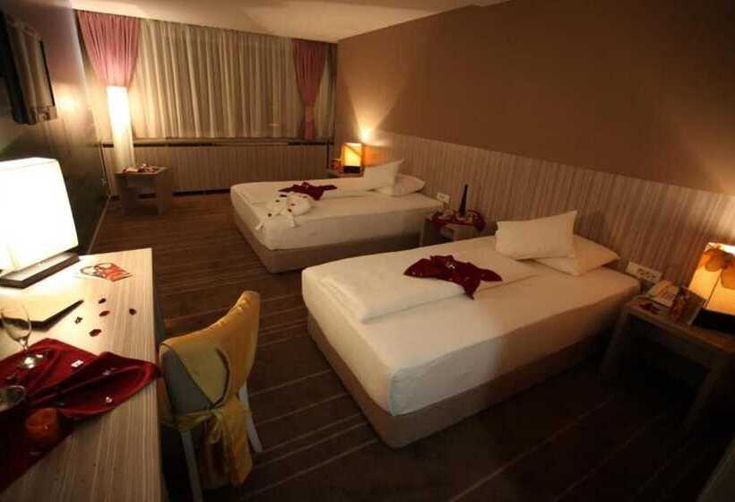 اتاق سوپریور سه تخته, Hollywood