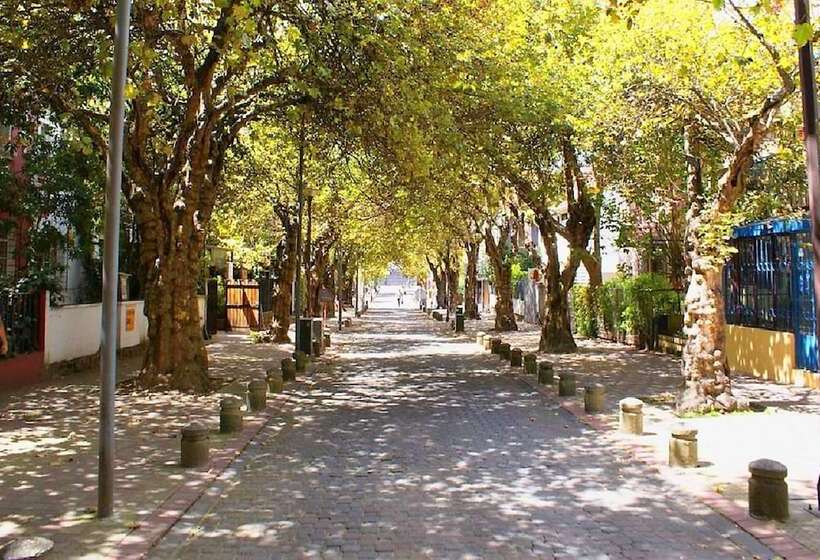 סוויטה דלוקס, Boutique Hotel Antinea