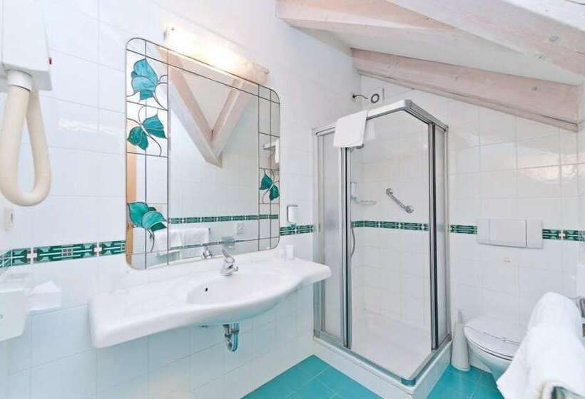 اتاق استاندارد, Business Resort Parkhotel Werth