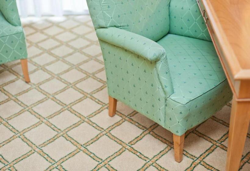 اتاق لوکس با تخت بزرگ, Business Resort Parkhotel Werth