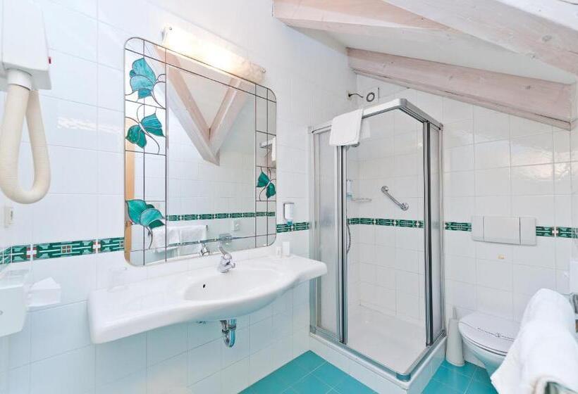 اتاق استاندارد یک نفره, Business Resort Parkhotel Werth