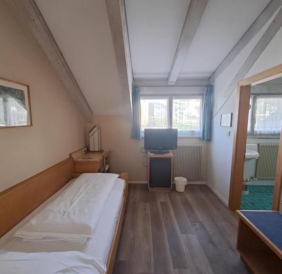 اتاق استاندارد یک نفره, Business Resort Parkhotel Werth