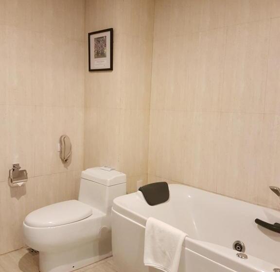 Executive Room, Cebu Parklane International