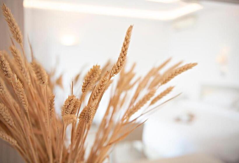 חדר סטנדרט לשלושה, Paradise View