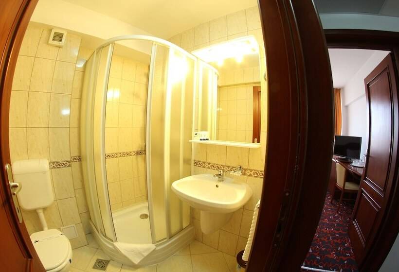 标准间, Parc Sibiu