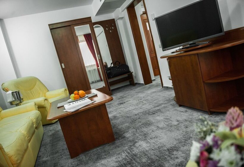 小型套房, Parc Sibiu