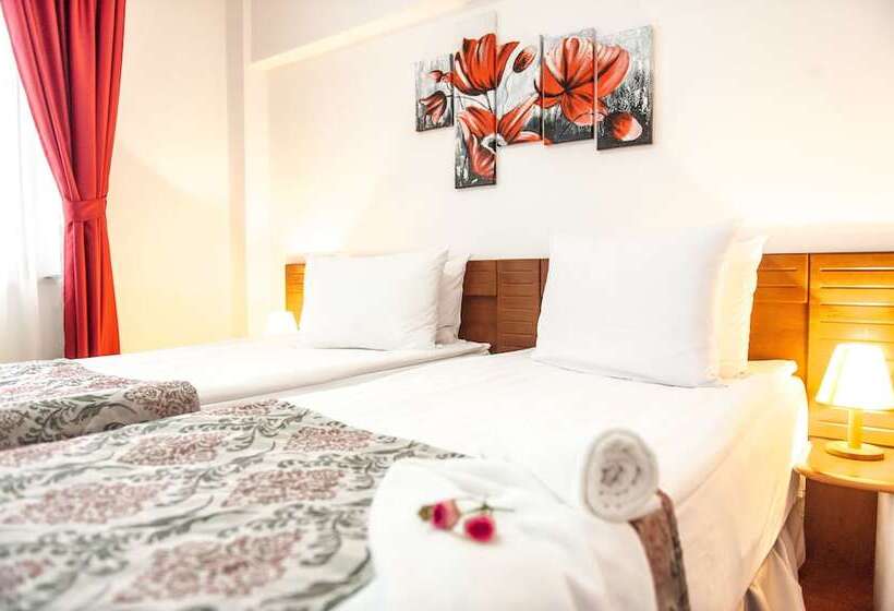 标准间, Parc Sibiu