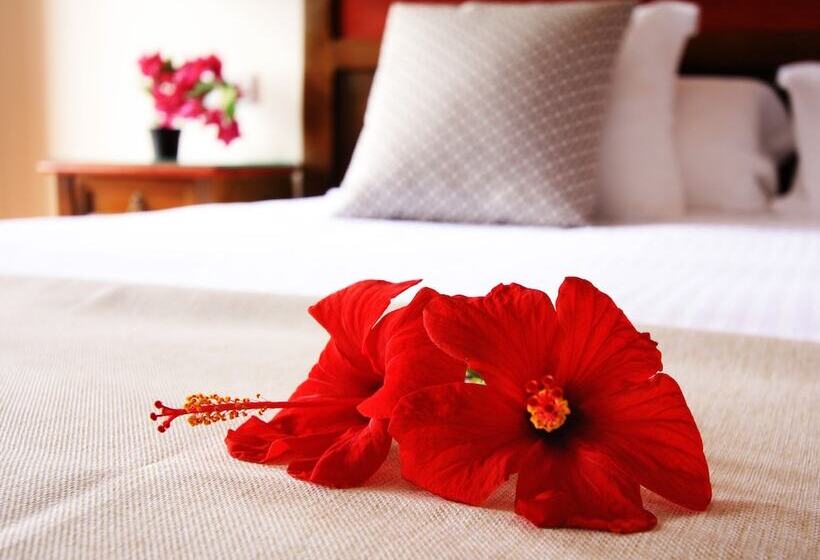 Номер Стандарт, Rural Finca De La Florida