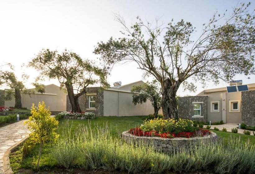 Бунгало Deluxe, Art Hotel Debono