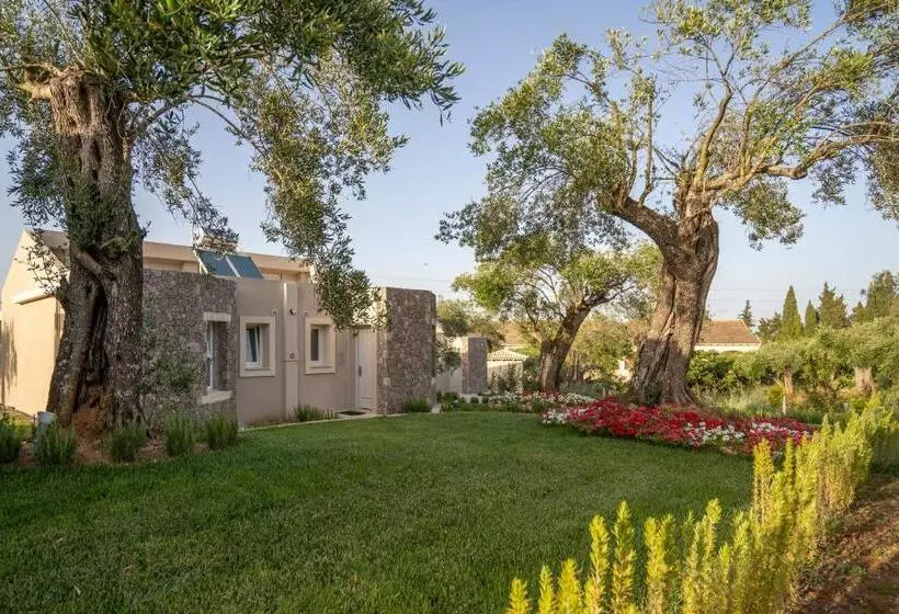 بانگلوی لوکس, Art Hotel Debono