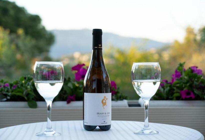 Люкс с гидромассажем, Art Hotel Debono