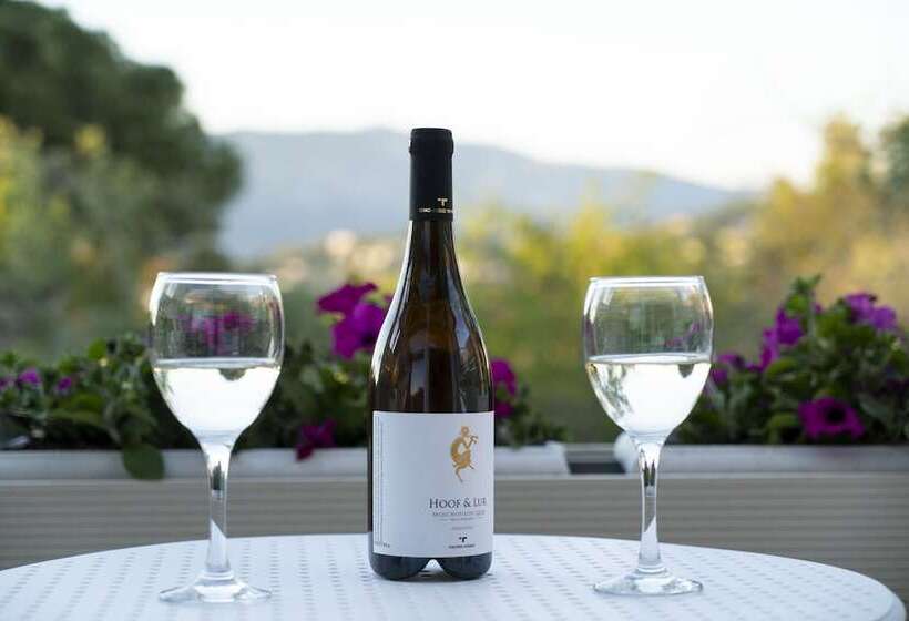 Бунгало Стандарт, Art Hotel Debono