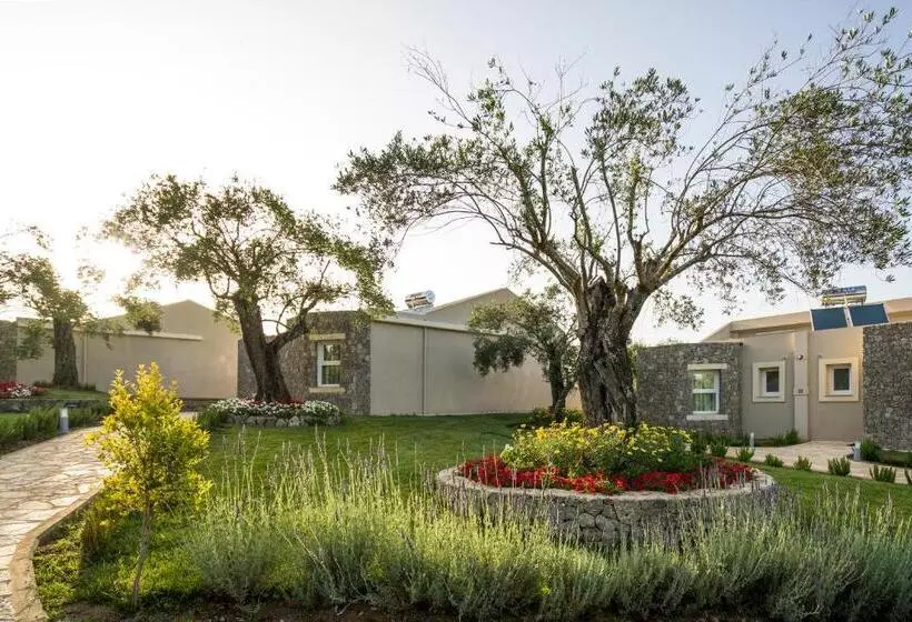 سوئیت با وان آب گرم, Art Hotel Debono