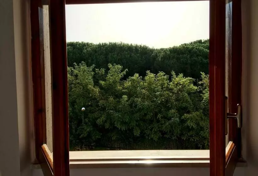 آپارتمان 1 خوابه با بالکن, Le Palme
