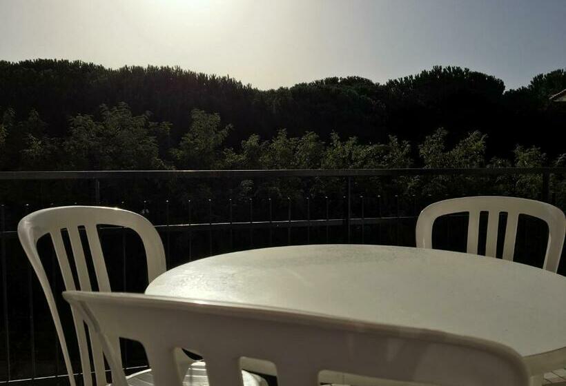 شقة غرفة نوم واحدة مزودة بشُرفة, Le Palme