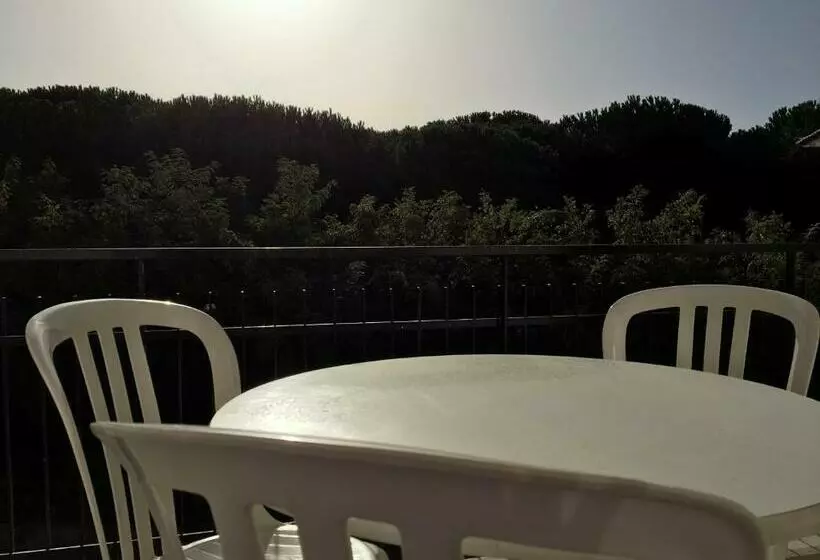 آپارتمان 1 خوابه با بالکن, Le Palme
