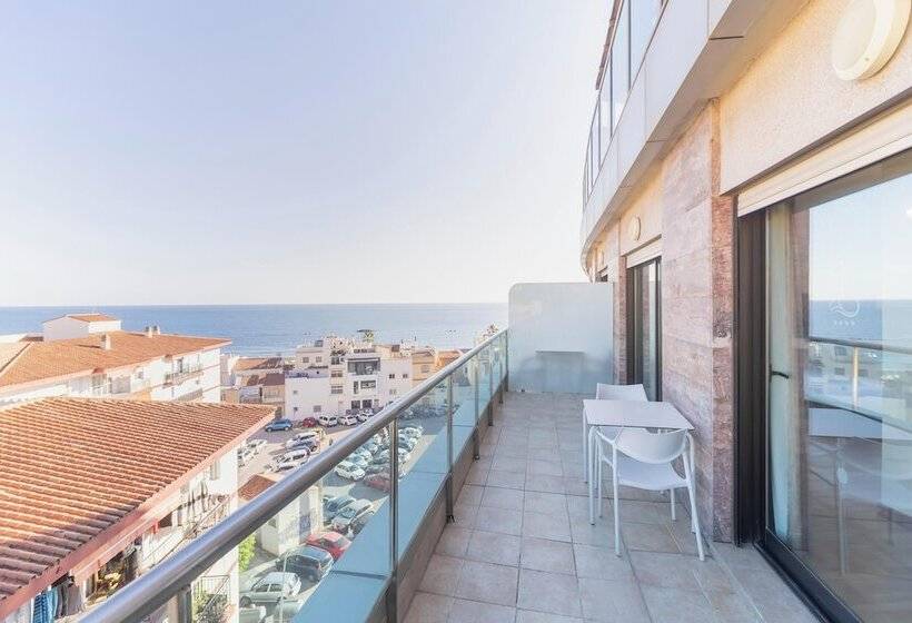 سوییت, Moon Dreams Calabahia