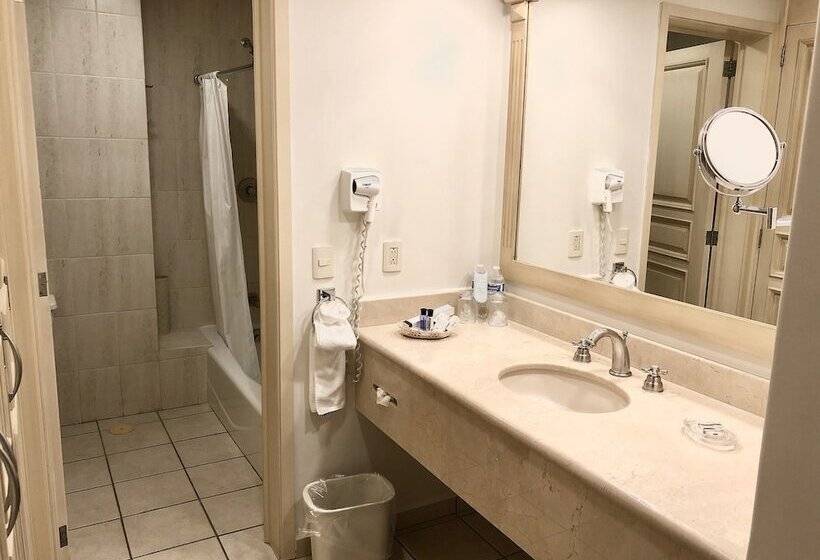 غرفة قياسية, Real De Minas Bajio