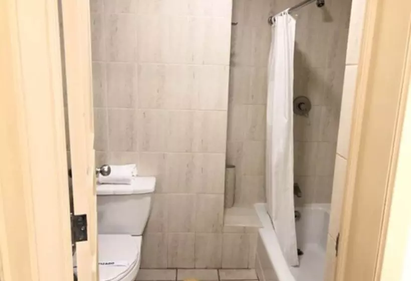 اتاق استاندارد, Real De Minas Bajio