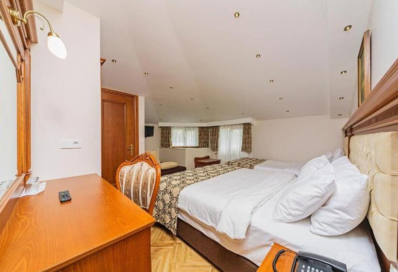 スーペリアファミリールーム, Spectra Sultanahmet