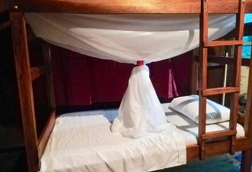 اتاق کلاسیک چهارنفره, Bungalow In The Jungle  Ecolodge Huitoto