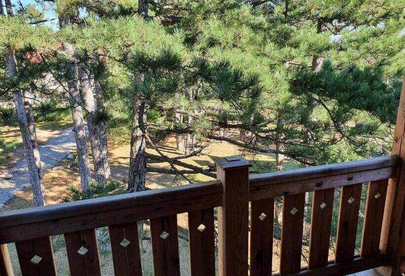 اتاق خانوادگی, Tara