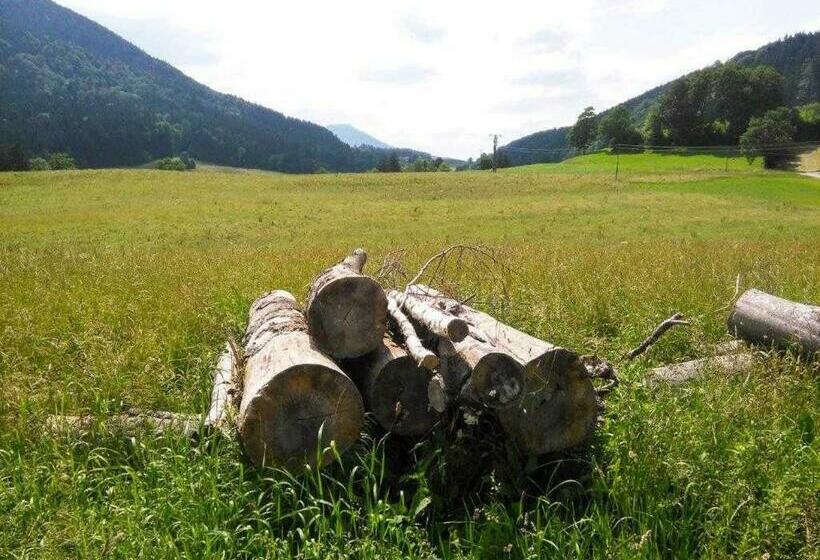 Апартаменты 1 Спальня с Видом, Hof Rossruck