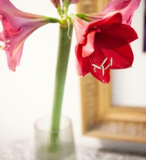 バルコニー付きシングルスタンダードルーム, Room's Chez Beni