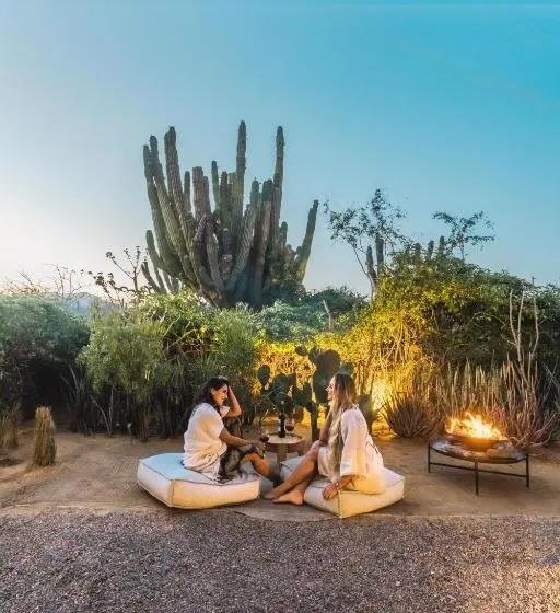 キングサイズベッドのスイートルーム, Paradero Todos Santos Exclusive Experiences Included