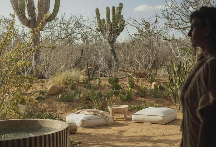 جناح سرير كينج, Paradero Todos Santos   Exclusive Experiences Included